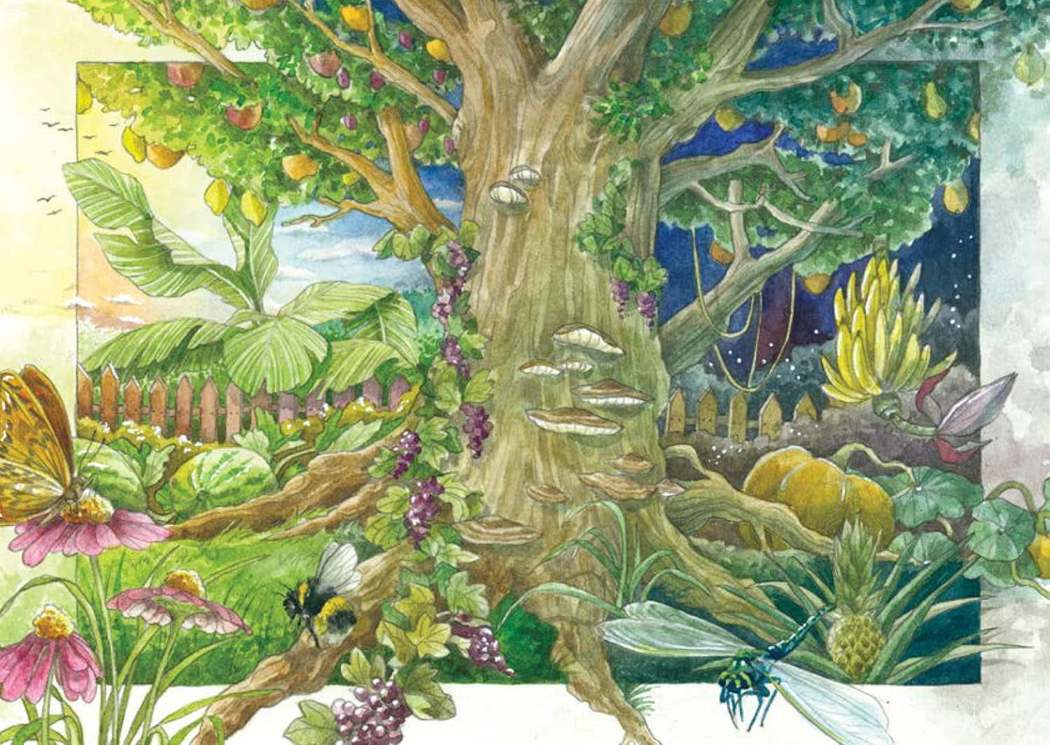 Exotische Schönheiten für Wintergarten & Terrasse - Samen-Geschenkset mit 5 frostempfindlichen Blühpflanzen aus aller Welt
