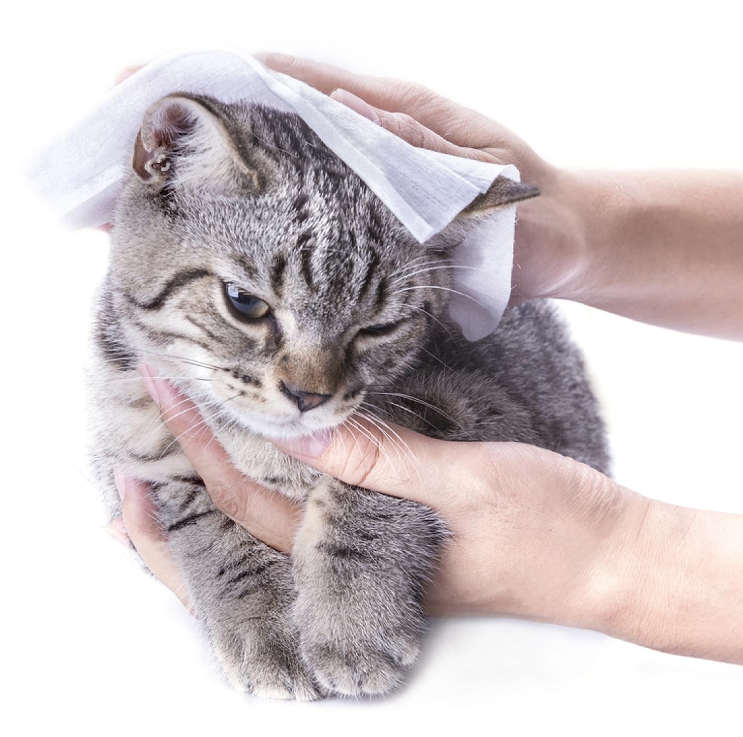 Go 07 Citronella Komprimiertes Reinigungstuch mit Flüssigkeit 50 Stück