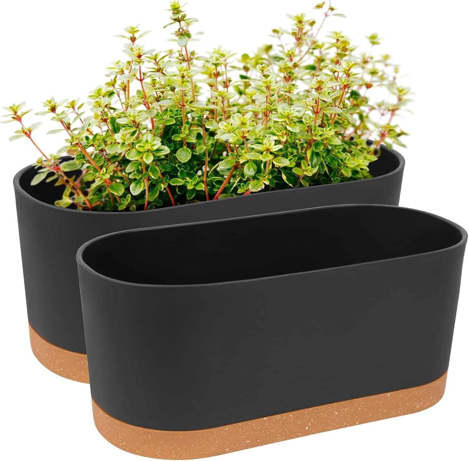 Ghiveci de flori set de 2 12,7 cm, ghivece pentru plante de interior cu găuri de drenaj și bază detașabilă, farfurioare decorative moderne pentru jardiniere de grădină de exterior (alb 12,7 cm)
