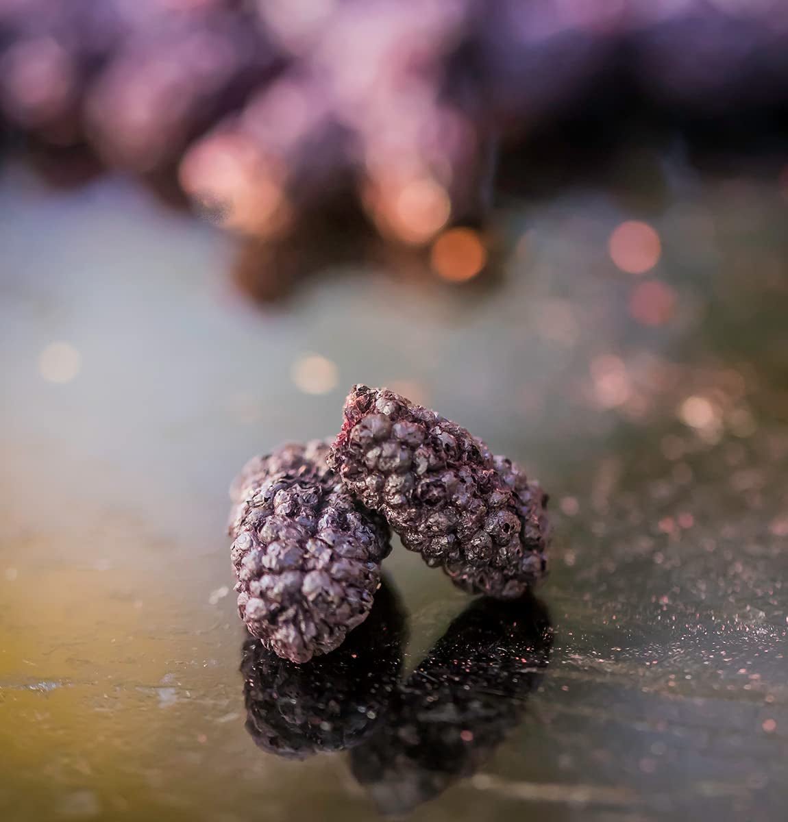 Mure BRIX | Mure uscate naturale 95 g | Premiul Great Taste pentru fructe uscate | Fără OMG, fără gluten, vegan, vitamine conservate Produse deshidratate Naty Shop