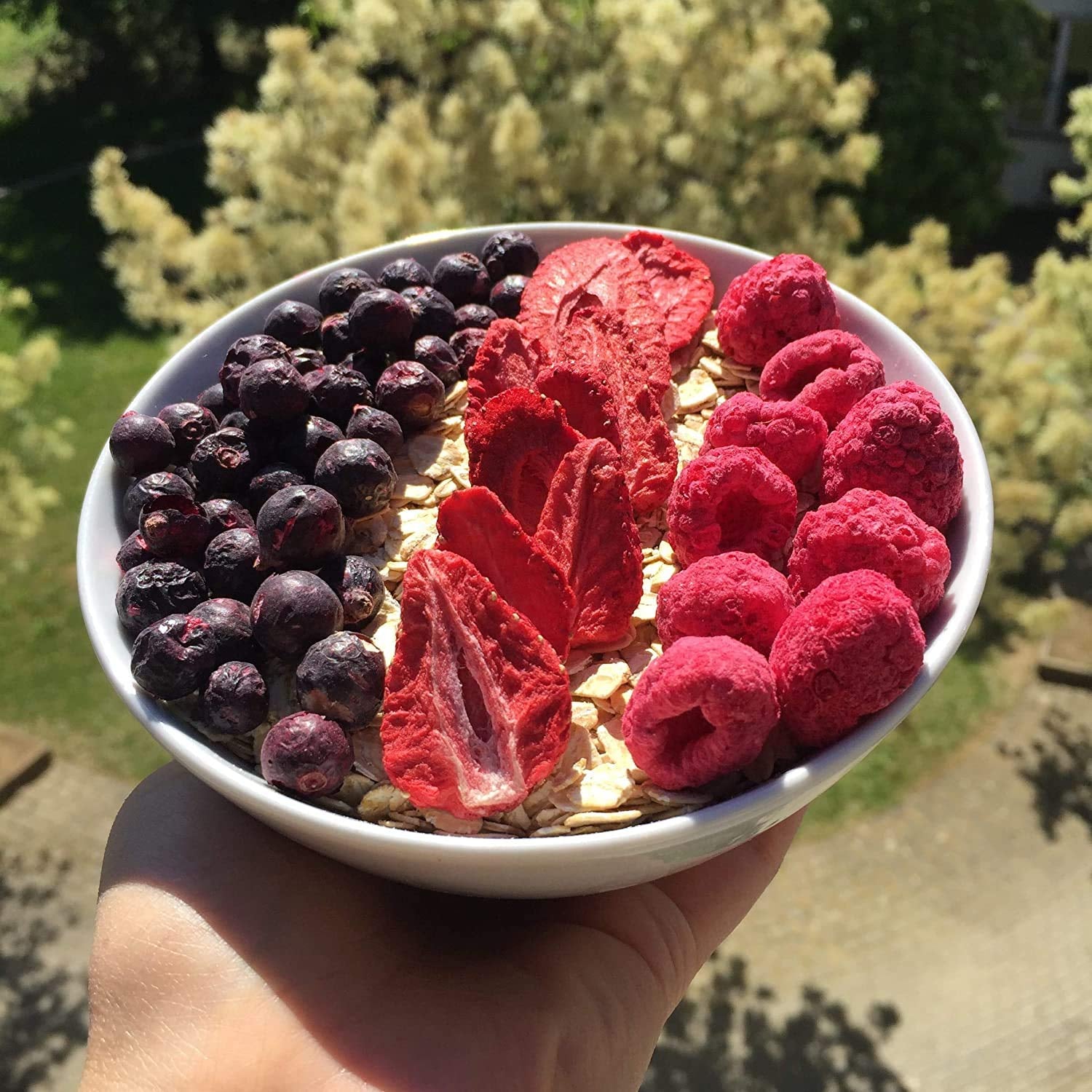 myfruits zmeură, liofilizată, 300g, fără aditivi, 100% zmeură uscată, fructe liofilizate pentru muesli sau ca gustare... Produse deshidratate Naty Shop