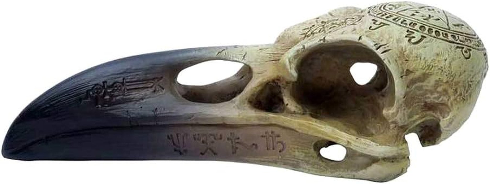 Omega Raven Skull Statuete si sculpturi Naty Shop